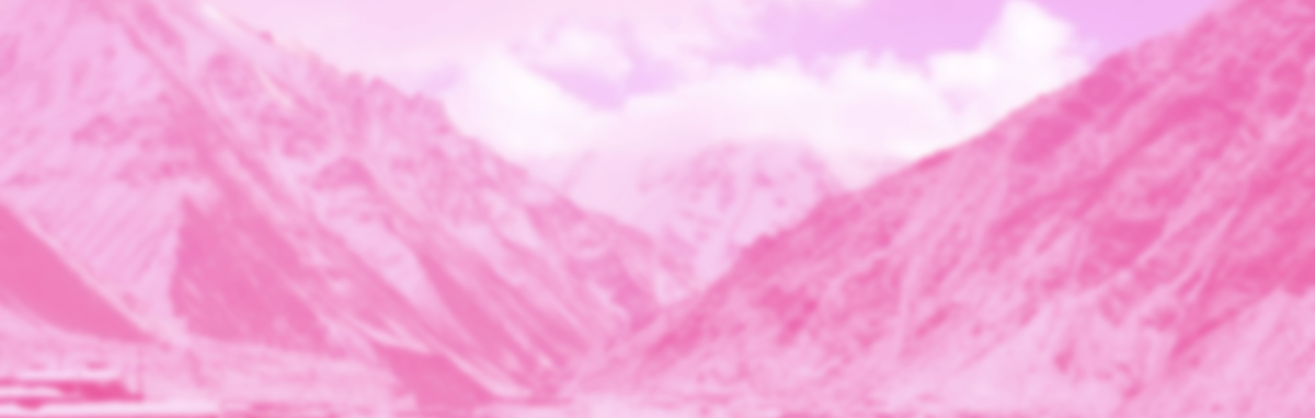 DASHAIN - 50% Discount
